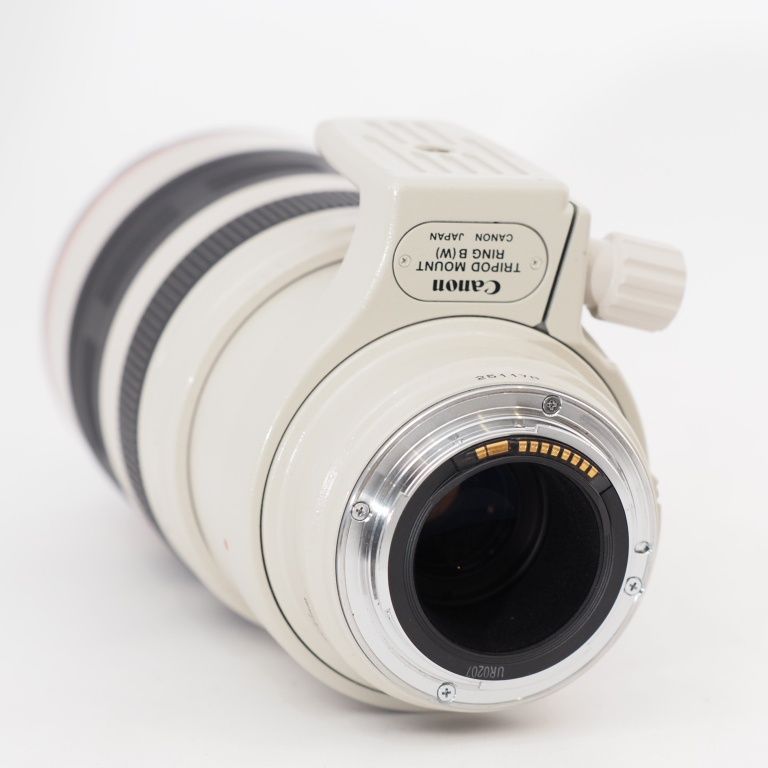 美品級　Canon 標準ズーム、望遠ズーム　EFレンズ２本セット 0217152007_63ef1c97cdbf0.png?