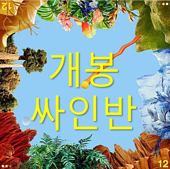 開封 ヴィンツィーノ Beenzino ー 12 オートグラフクラス CD