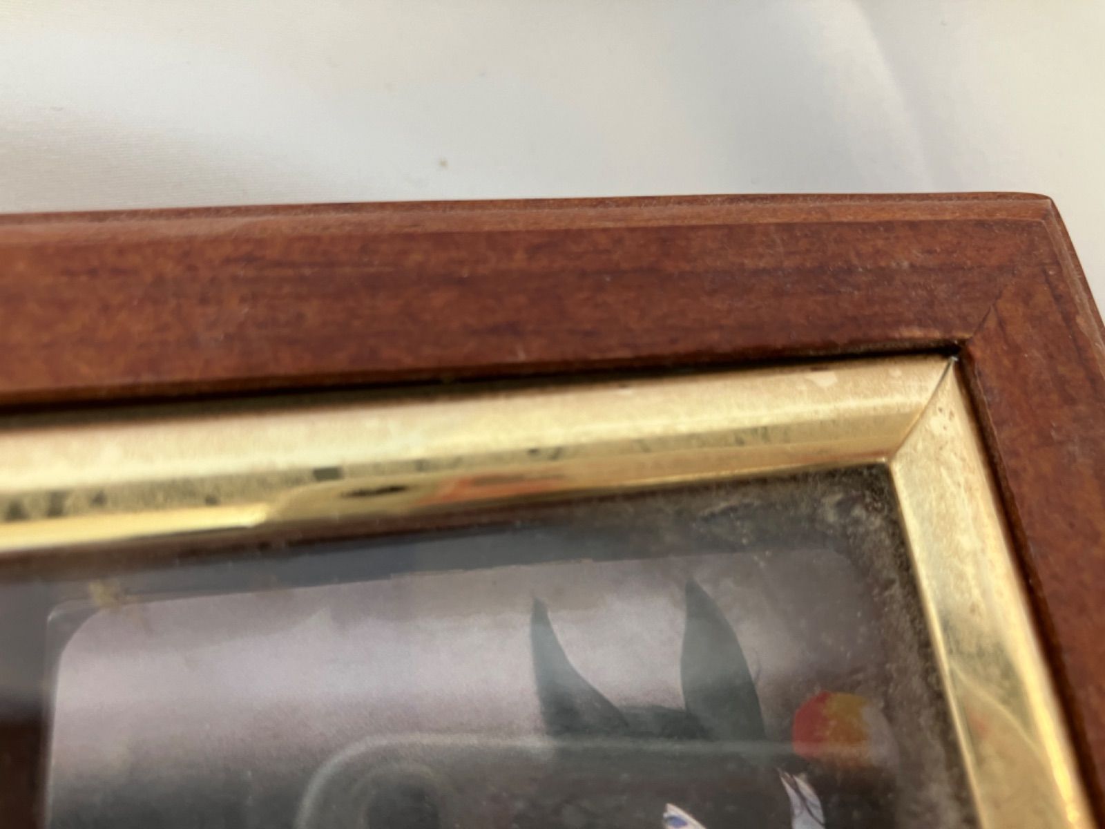 入手困難！激レア】ポーランド/