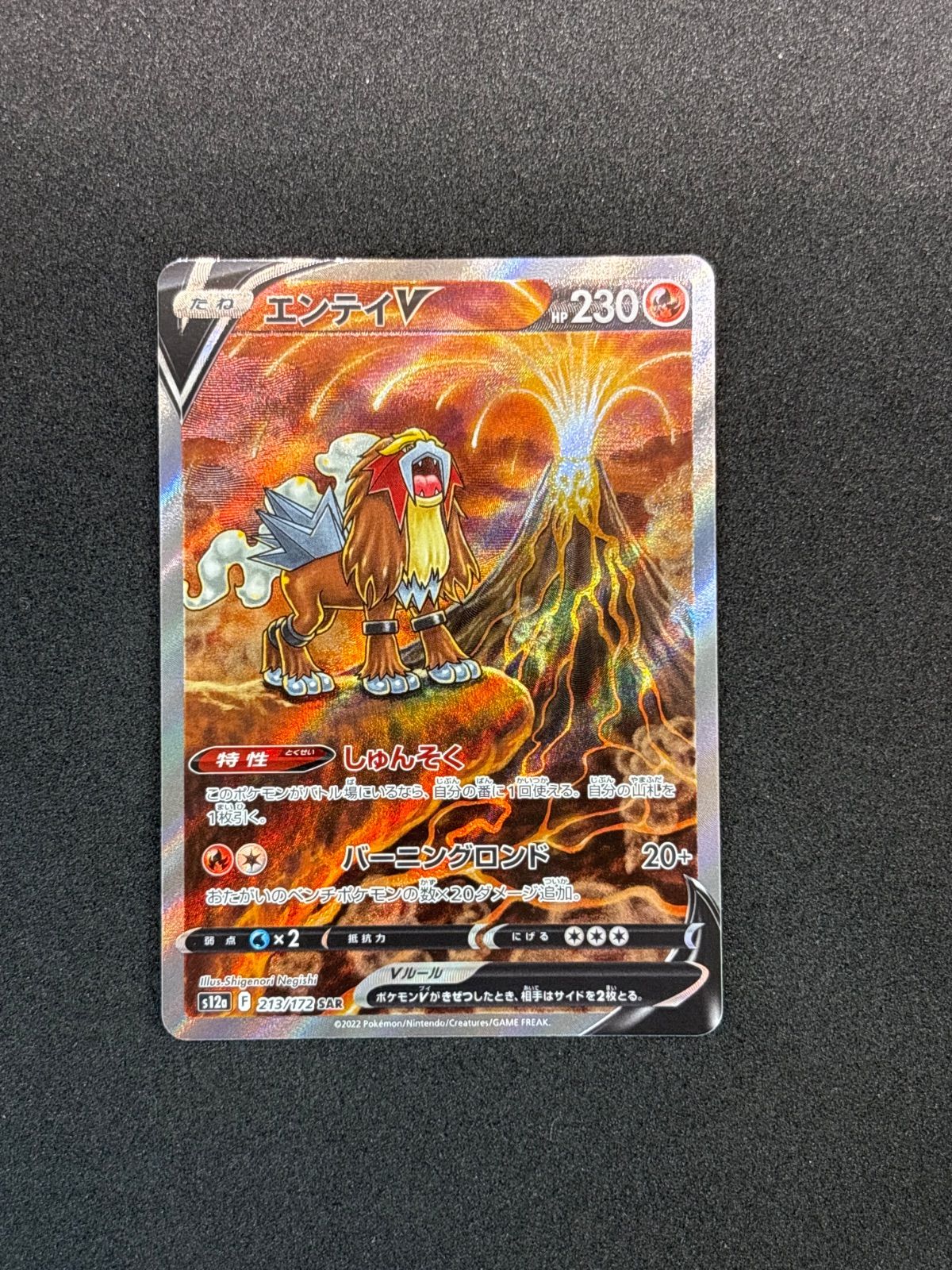 【psa10】エンテイv sar PSA10鑑定済〕エンテイV【SAR】{213/172}
