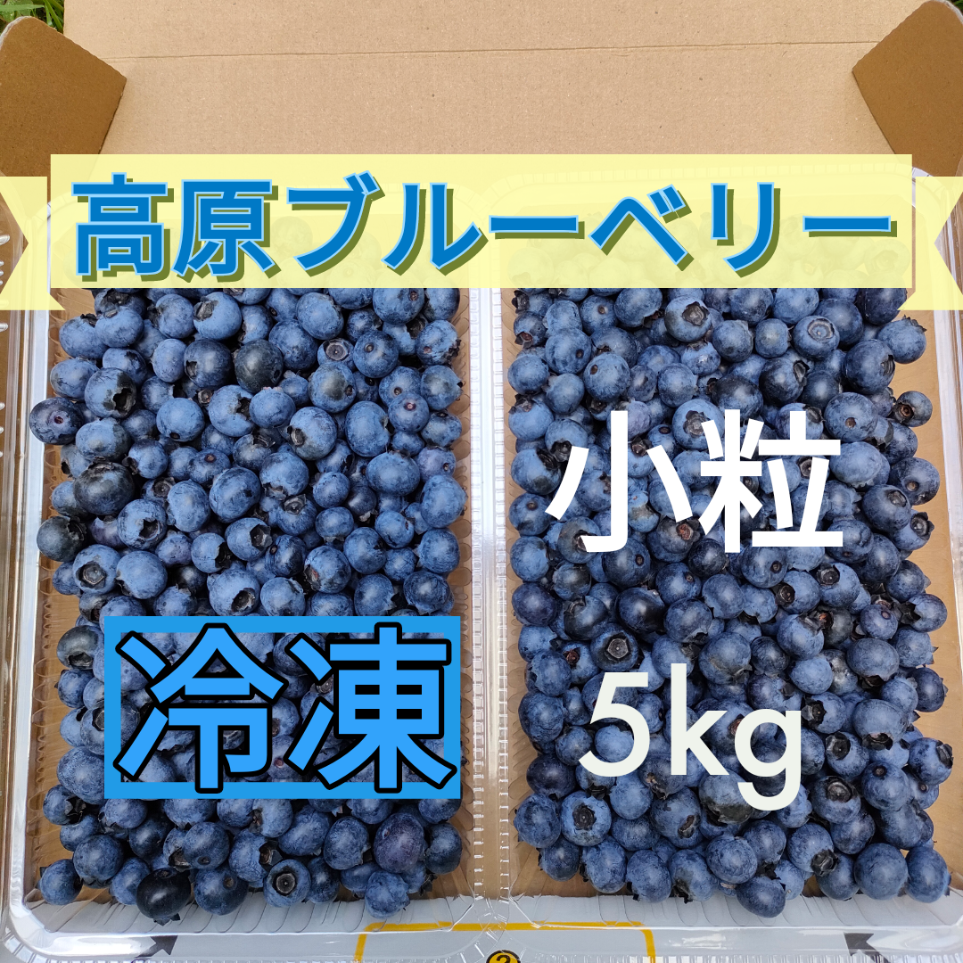 メルカリshops 今夏摘み取り ブルーベリー 5kg 小粒 冷凍保存 クール便発送