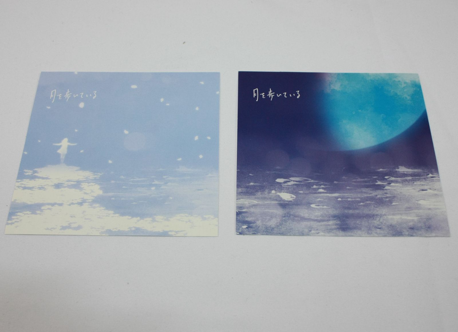 n-buna CD 月を歩いている 初回限定盤 花と水飴、最終電車 Amazon.co.jp: 月を歩いている: ミュージック