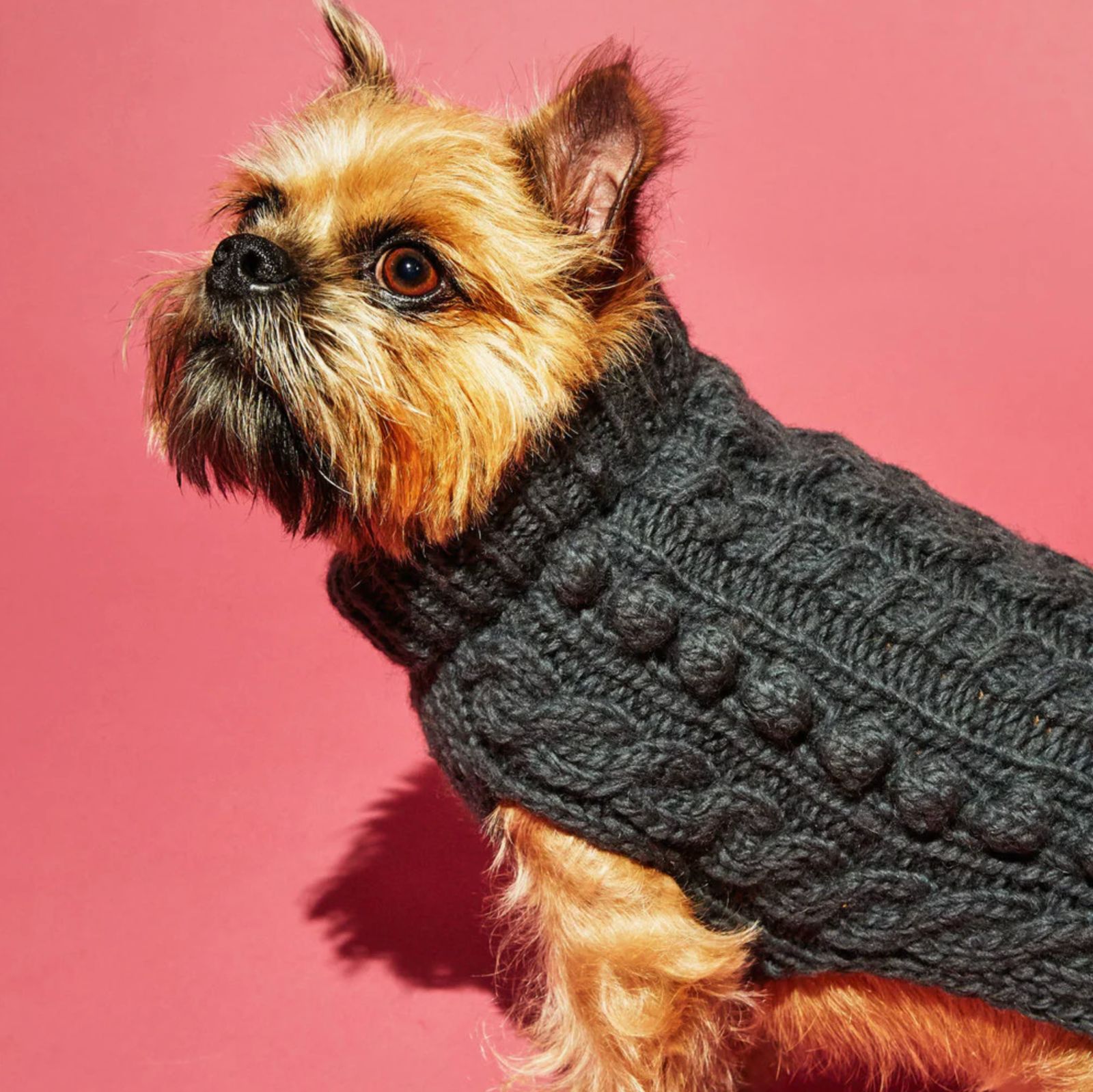 WARE OF THE DOG CABLE BOBBLE TURTLENECK グレー 犬 ニット セーター 海外直輸入