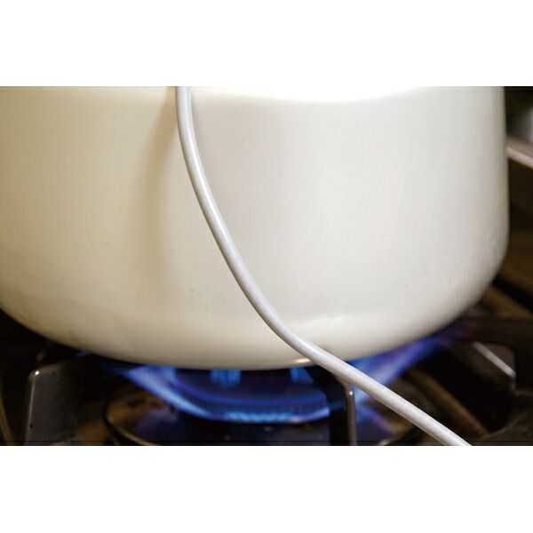 防水ハンディ温度計 TP 100 MRSG 耐熱センサー サニタリーサーモ TSP SG付属