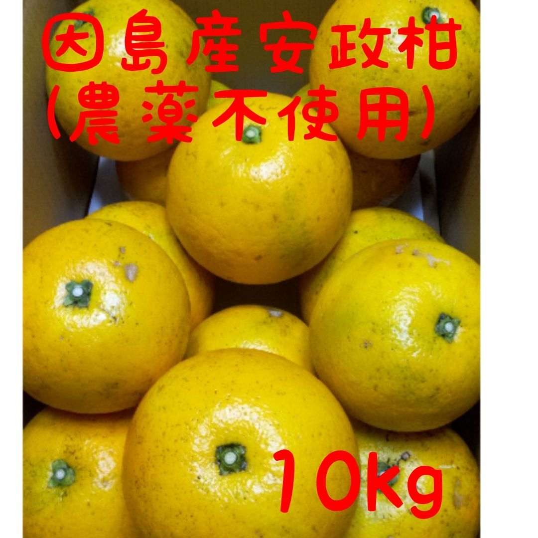 瀬戸内 農薬不使用 完熟安政柑 箱共10kg - メルカリ