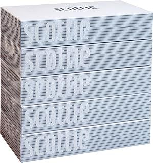 紙クレシア スコッティ ティシューペーパー 1ケース 5箱×12パック