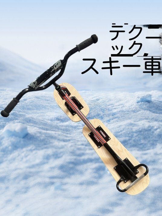 アウトドア雪地大人テクニックスキーカー 【新到着！】