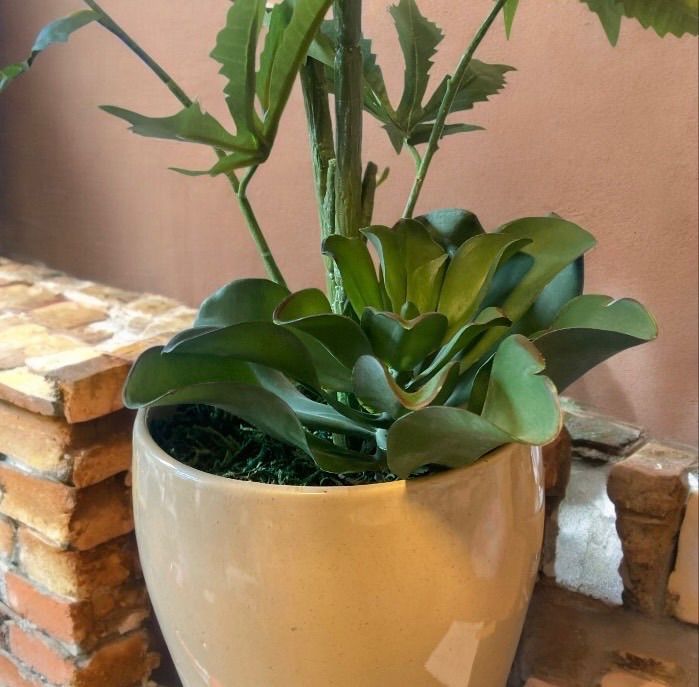 ◯◯ファナ 人工観葉植物