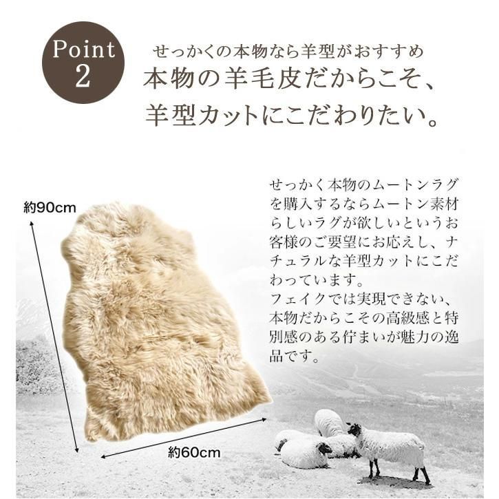 本革