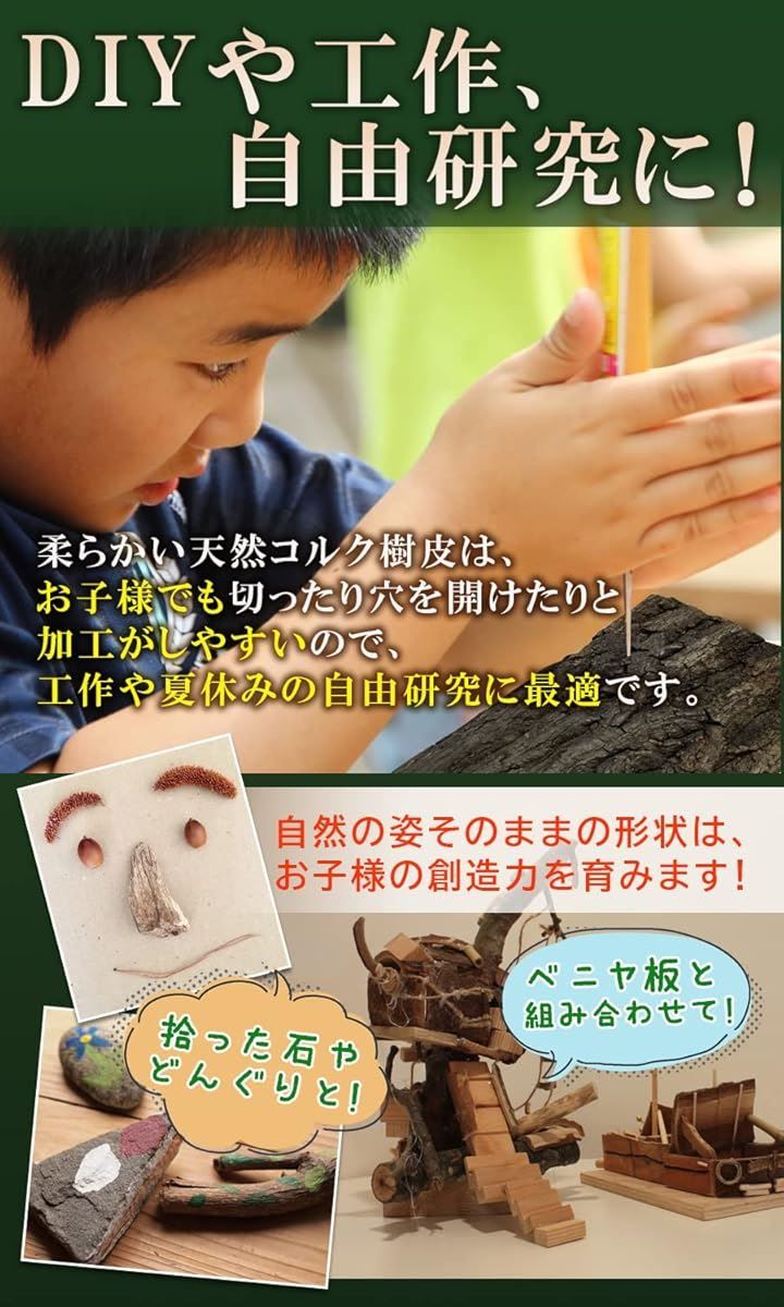 WinJapan コルク樹皮 着生 エアプランツ チランジア バークチップ 爬虫類 観葉植物 本物 ヘゴ板 大サイズ 200x300 ７枚 WWW_GEBZETESISAT_COM_TR