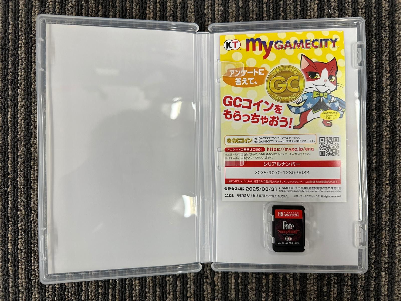 任天堂スイッチ ソフト フェイトサムライレムナント (2406032)