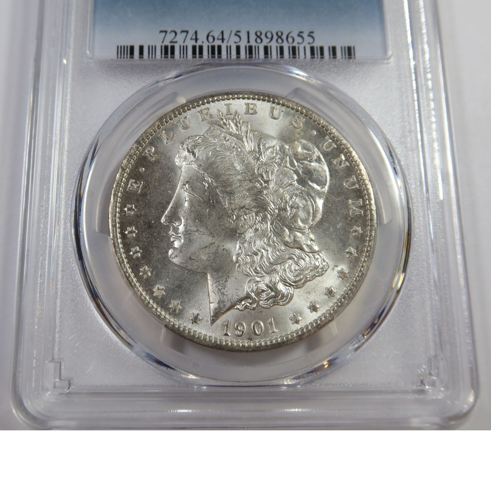 Silver Morgan