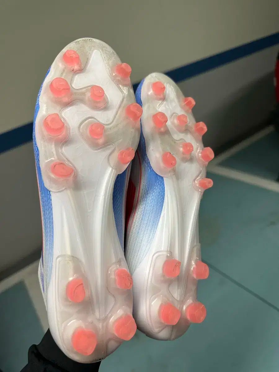 F50 hg