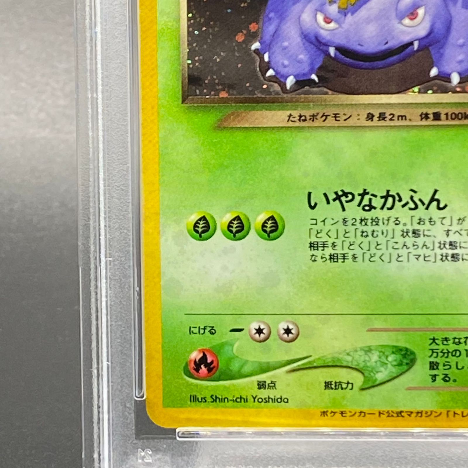 わるいフシギバナ旧裏psa10 旧裏】 わるいフシギバナ PSA10鑑定済〕わるいフシギバナ【-】{旧裏}