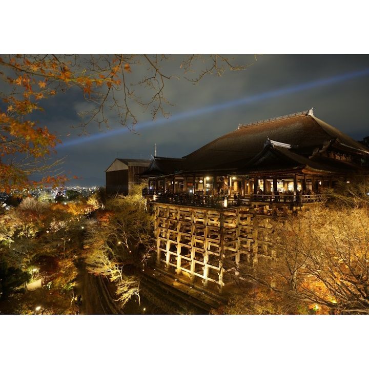 絵画風 壁紙ポスター (はがせるシール式) 清水寺 きよみず 舞台 夜景 音羽山 キャラクロ KMD-002A2 (A2版 594mm×420mm) ＜日本製＞ ウォールステッカー お風呂ポスター