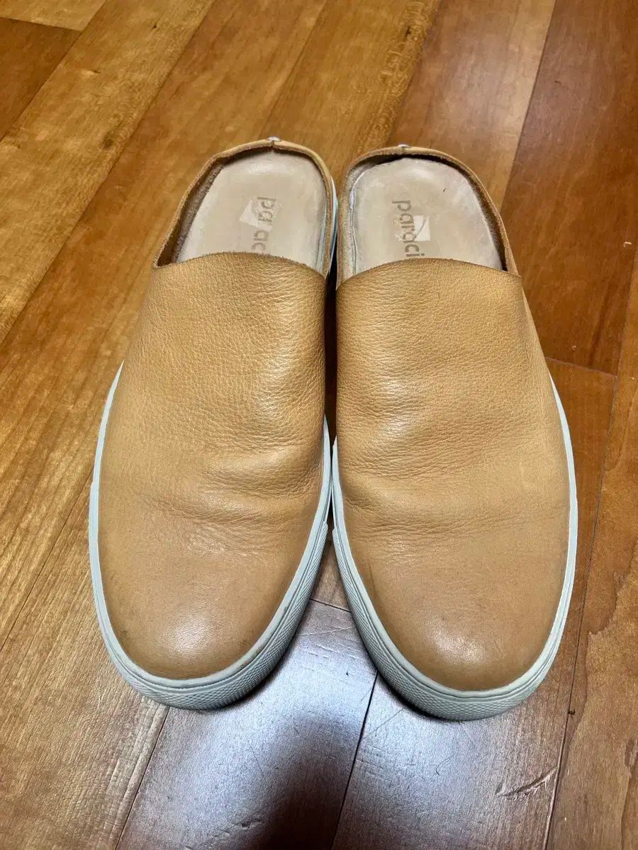 パラシア ミュール