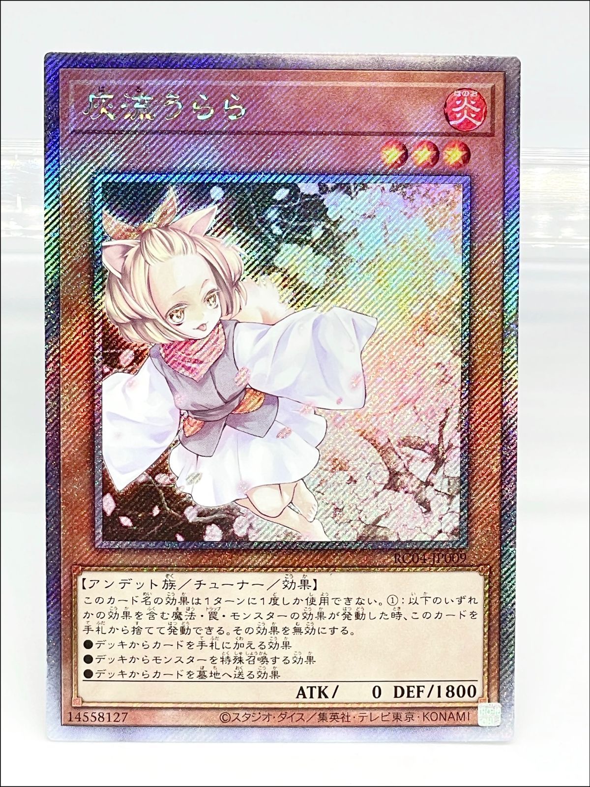 遊戯王　伝説の闇の魔導士　エクストラシークレットレア　EXシク　1枚 遊戯王 伝説の闇の魔導士 エクストラシークレットレア EXシク 1
