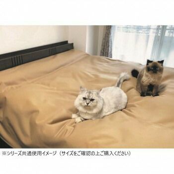 ベージュ