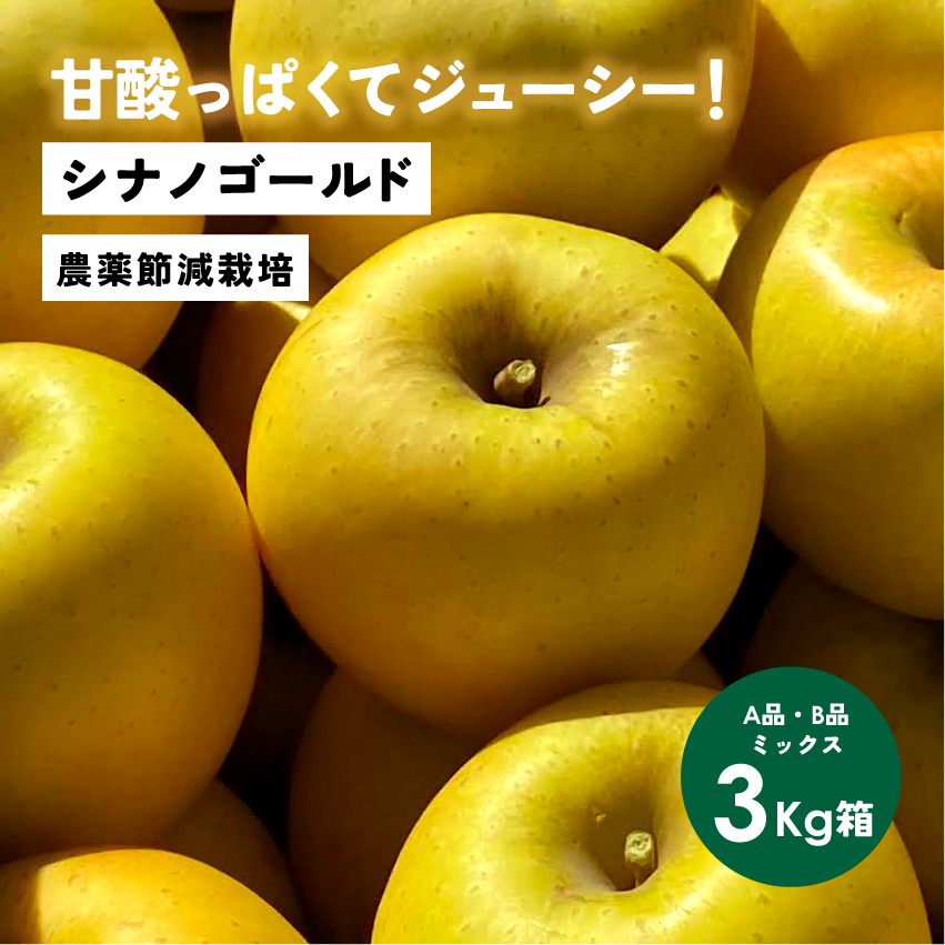 発送中「シナノゴールド3キロ箱A品B品ミックス」 農林水産大臣賞 りんご 長野県産 安曇野 信州産 産地直送