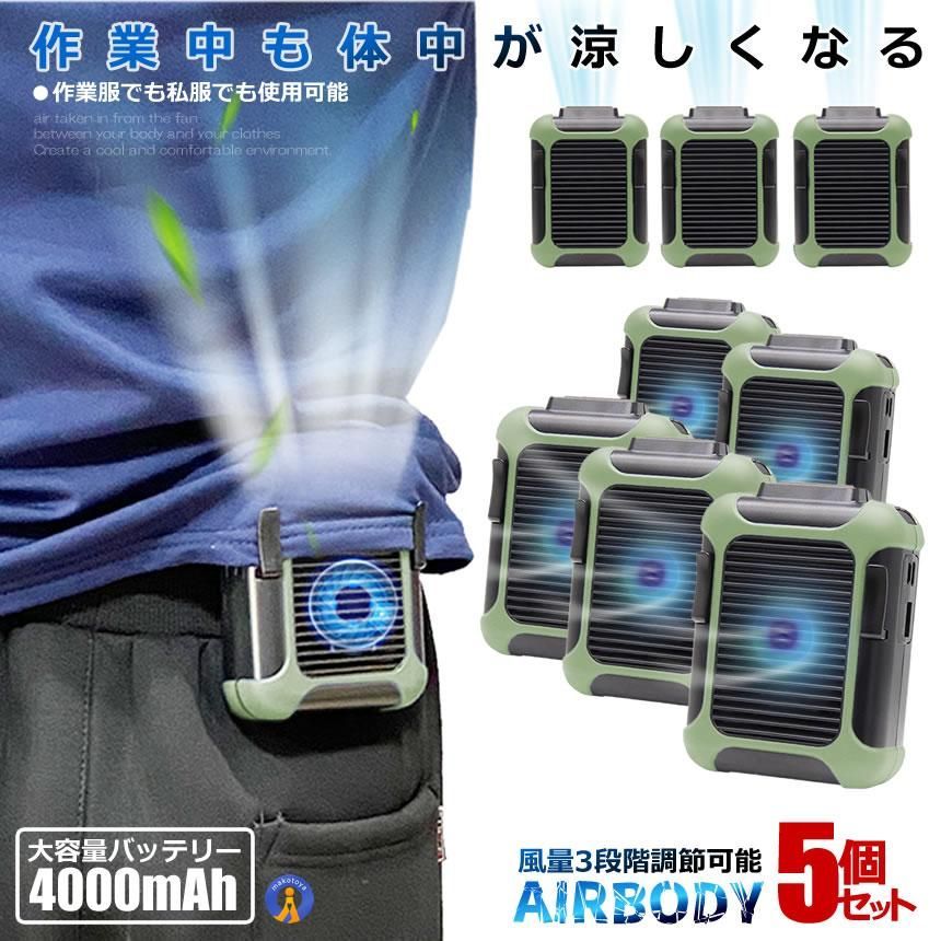 レオノール・フィニ-、巨匠、挿画,50部限定、高級額付、希少 2025年