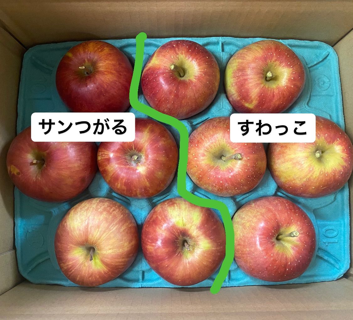  りんご 長野県産 サンつがる すわっこ 10kg 2種セット