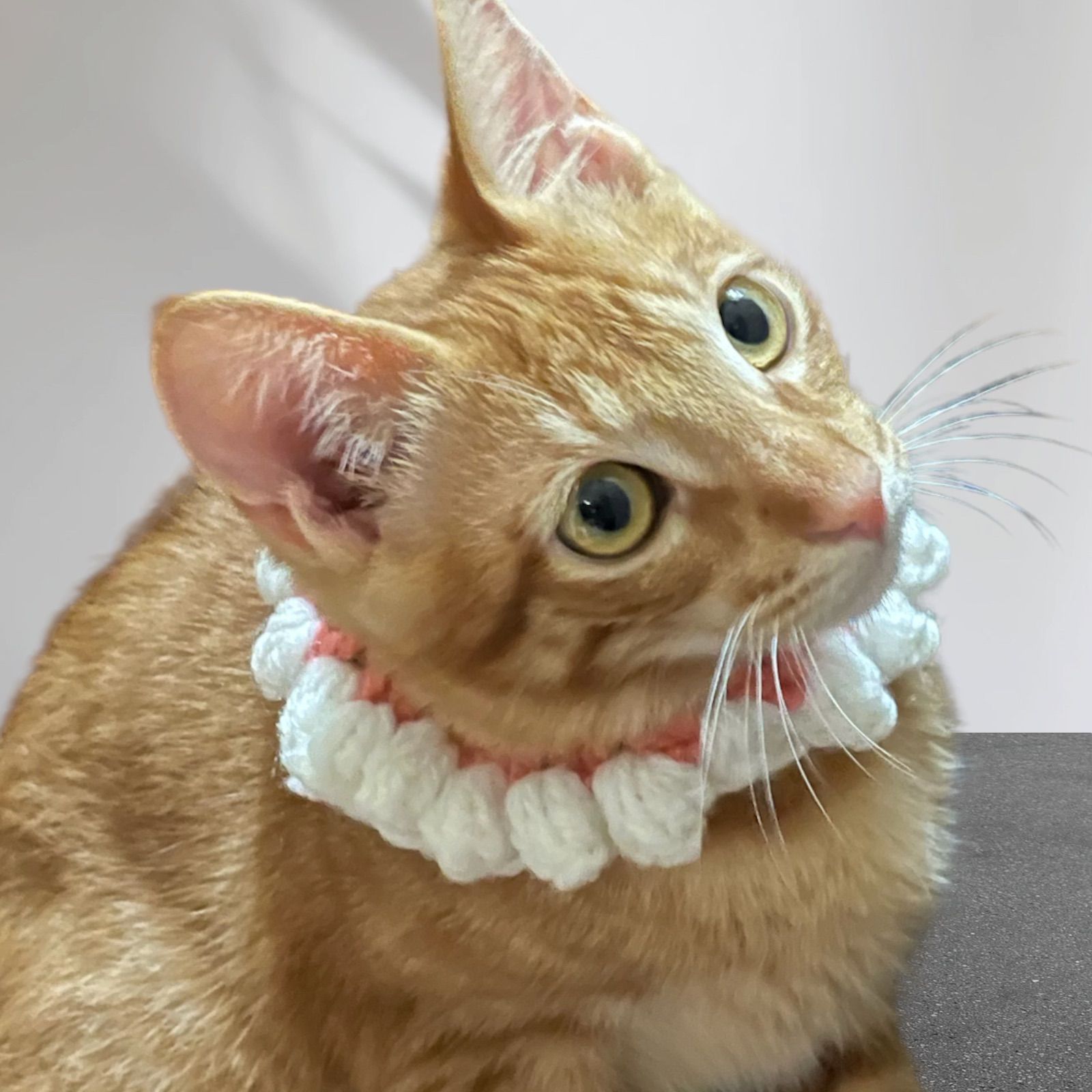 ハンドメイド】 猫首輪 ヤーン キャットカラー ねこ 毛糸 手作り