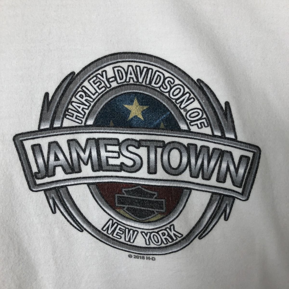 Harley-Davidson 鷲柄