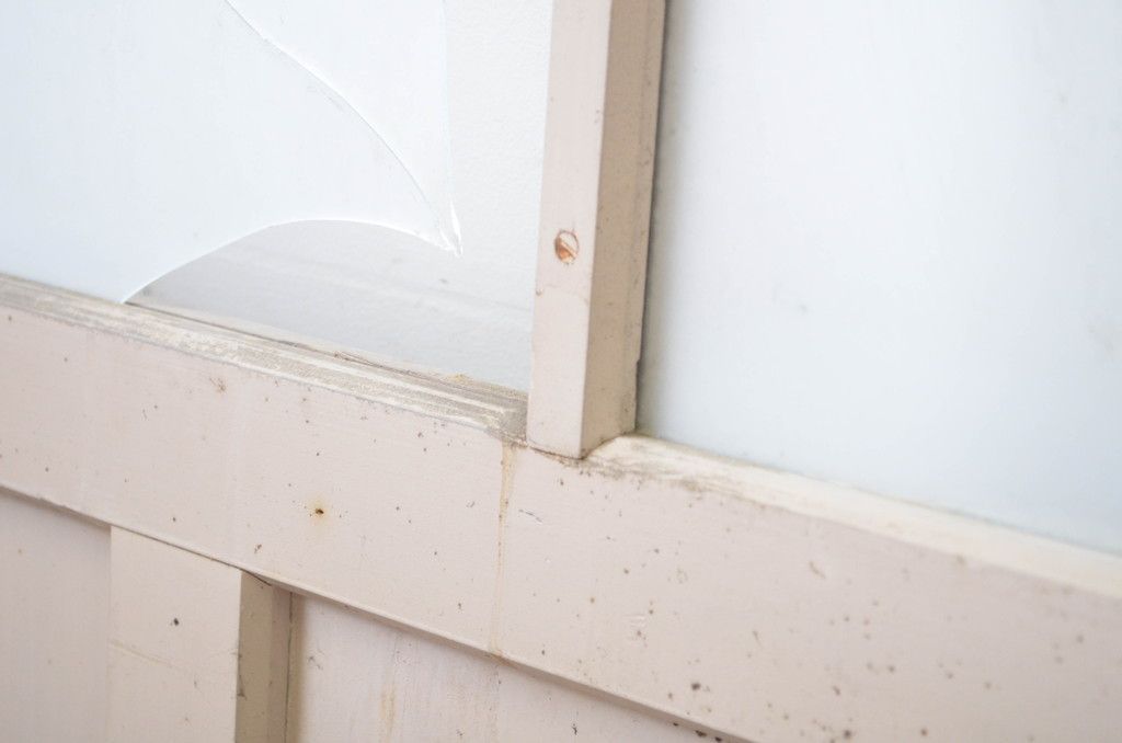 ガラス戸2枚セット