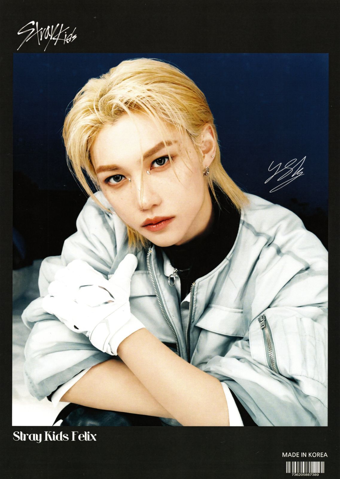 straykids スキズ ペンミ フィリックス プロフィールポスター