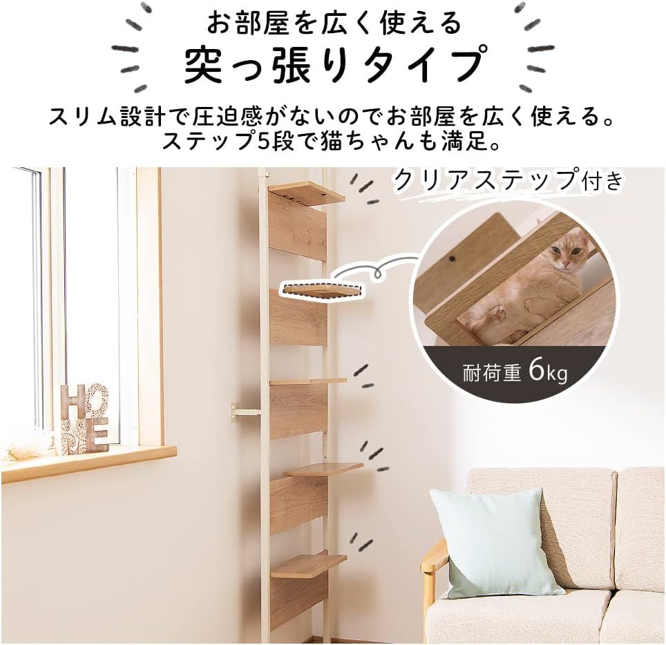 キャットステップ 覗ける透明板