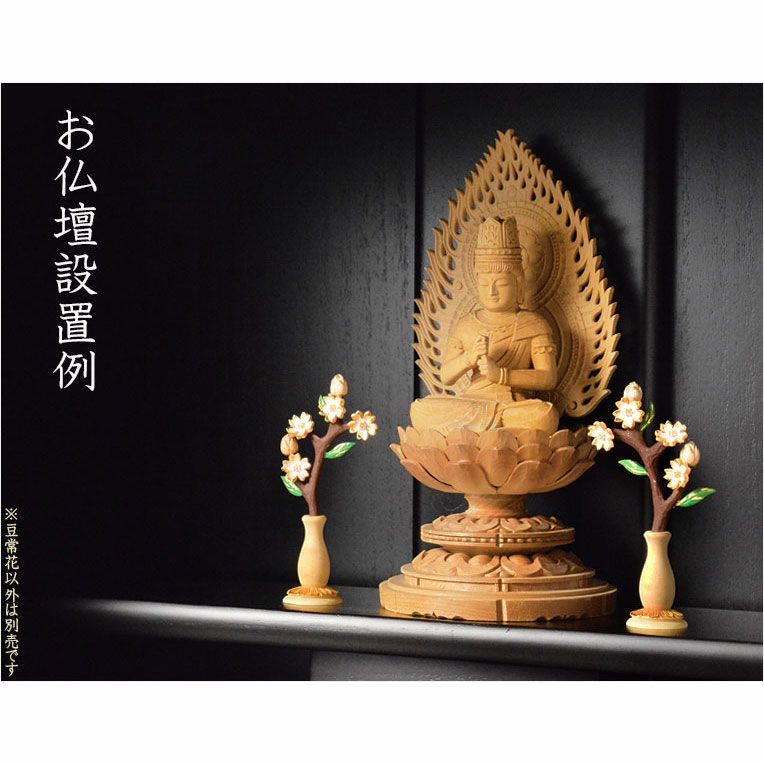 本柘植