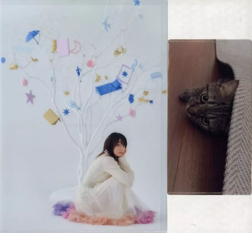 上田麗奈 雑誌切り抜き クリアファイル6冊分 中古】クリアファイル 上田麗奈 A4クリアファイル＆マルチケース
