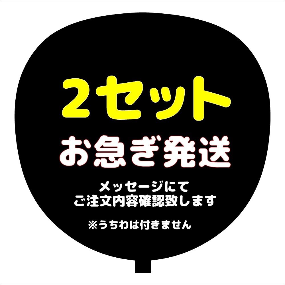 お急ぎ発送複数専用ページ（2セット）