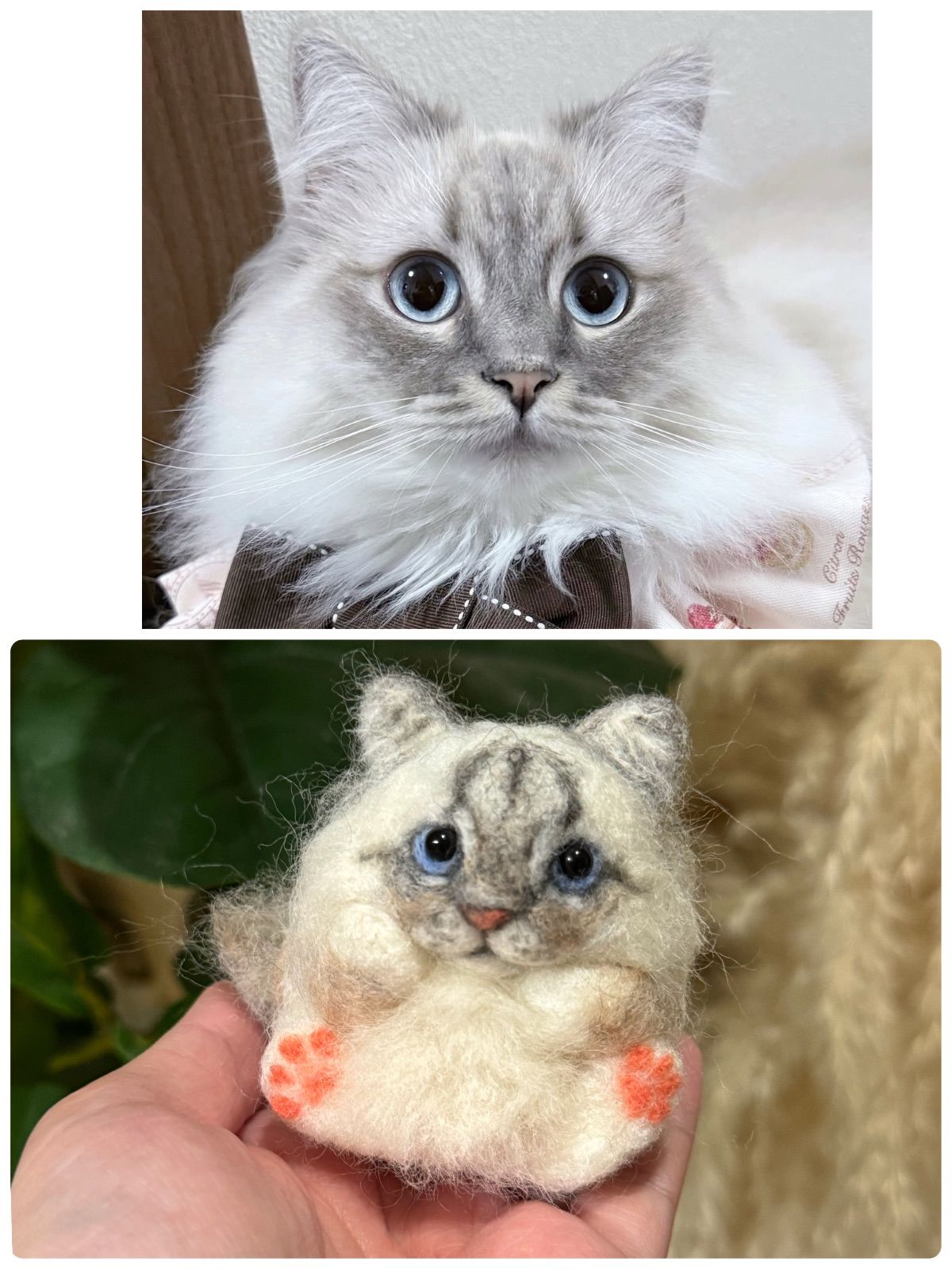 オーダー可》まんまるあにまるず うちの子オーダー 羊毛フェルト