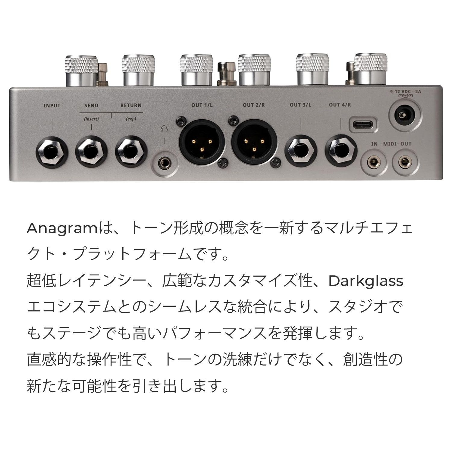 Darkglass ANAGRAM ・メーカー保証有 （おまけ付き） Darkglass Electronics 【秋頃入荷予定、ご予約受付中】 Anagram