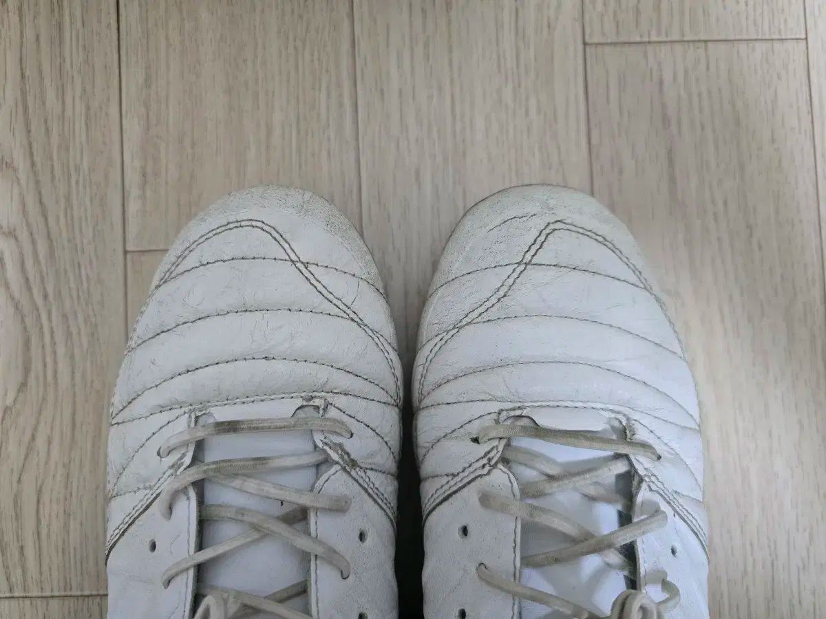 260 ATHLETA