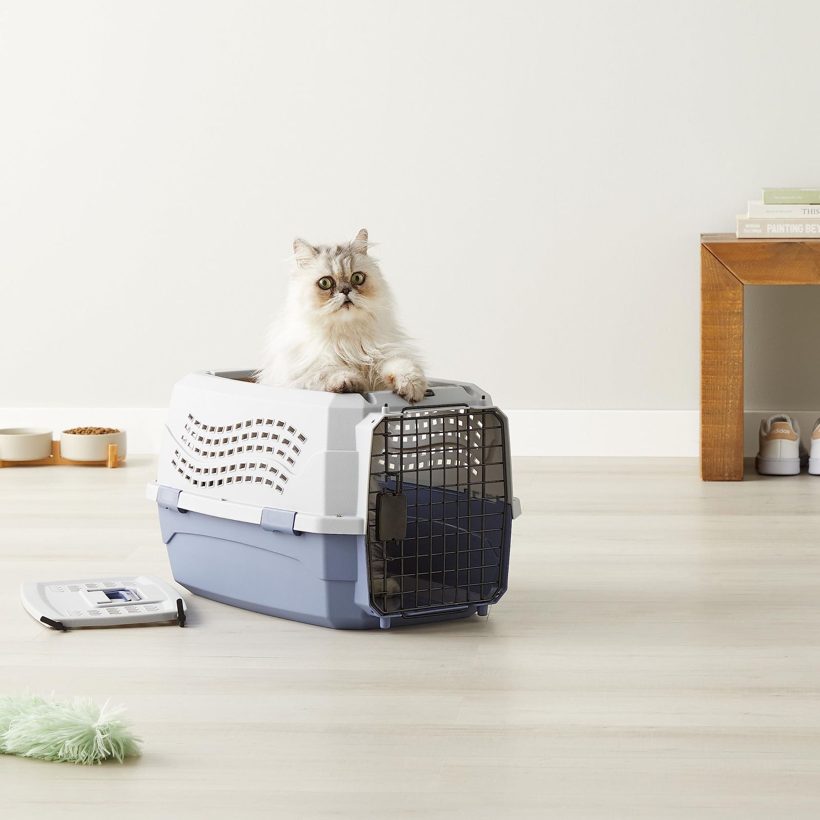 ベーシック ペットキャリー ダブルドア 小型犬・猫用 9kgまで Mサイズ 幅3 迅速発送】ベーシック ペットキャリー ダブルドア 小型犬・猫用 9kg