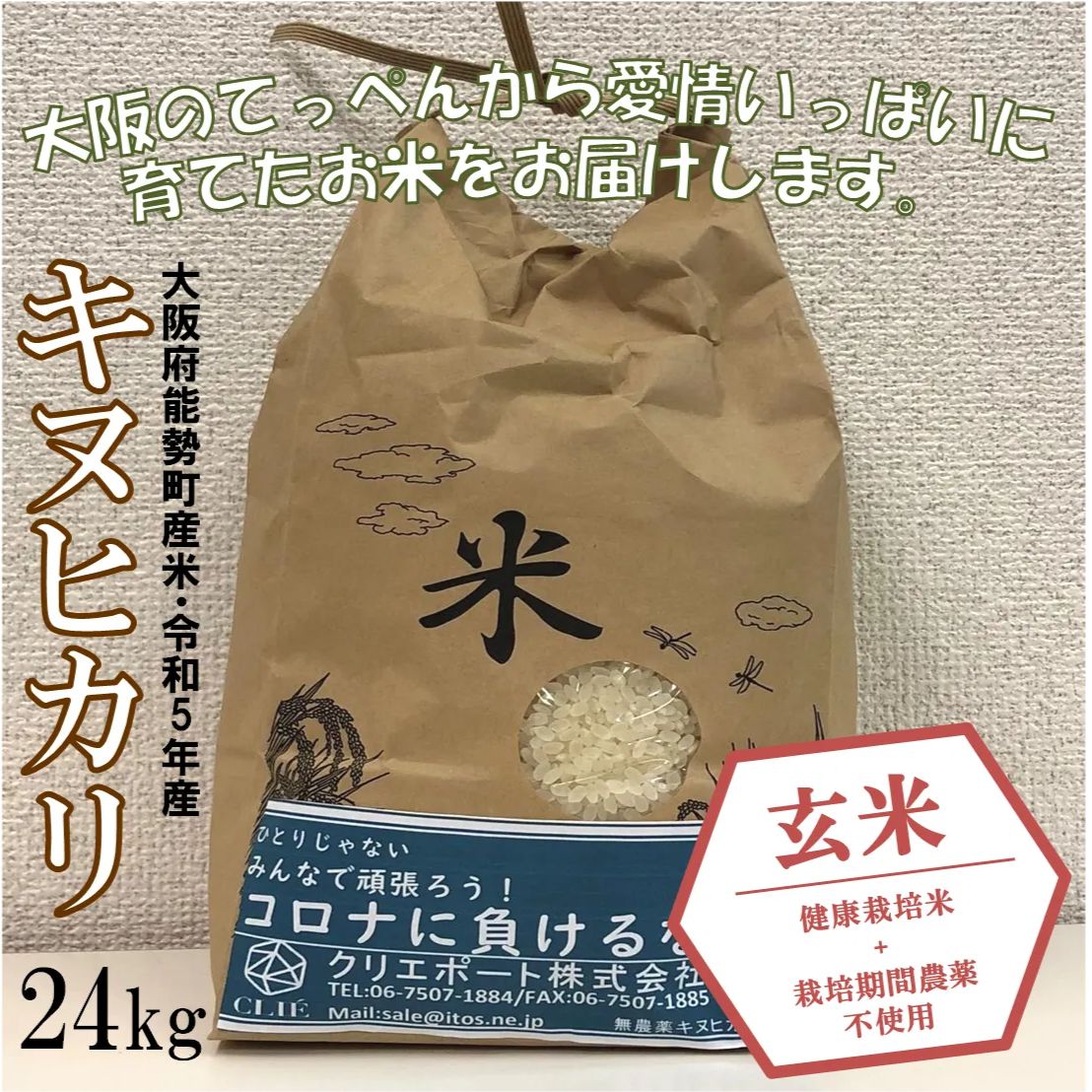 【令和5年度産/健康栽培米＋栽培期間農薬不使用】大阪のてっぺんキヌヒカリ玄米24kg大阪府能勢産