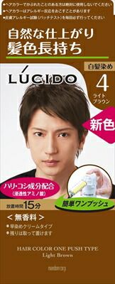 大人気商品  ルシード ワンプッシュケアカラー ライトブラウン （医薬部外品） 【 マンダム 】 【 ヘアカラー 】ルシード ワンプッシュケアカラー ライトブラウン×24点セット tt  