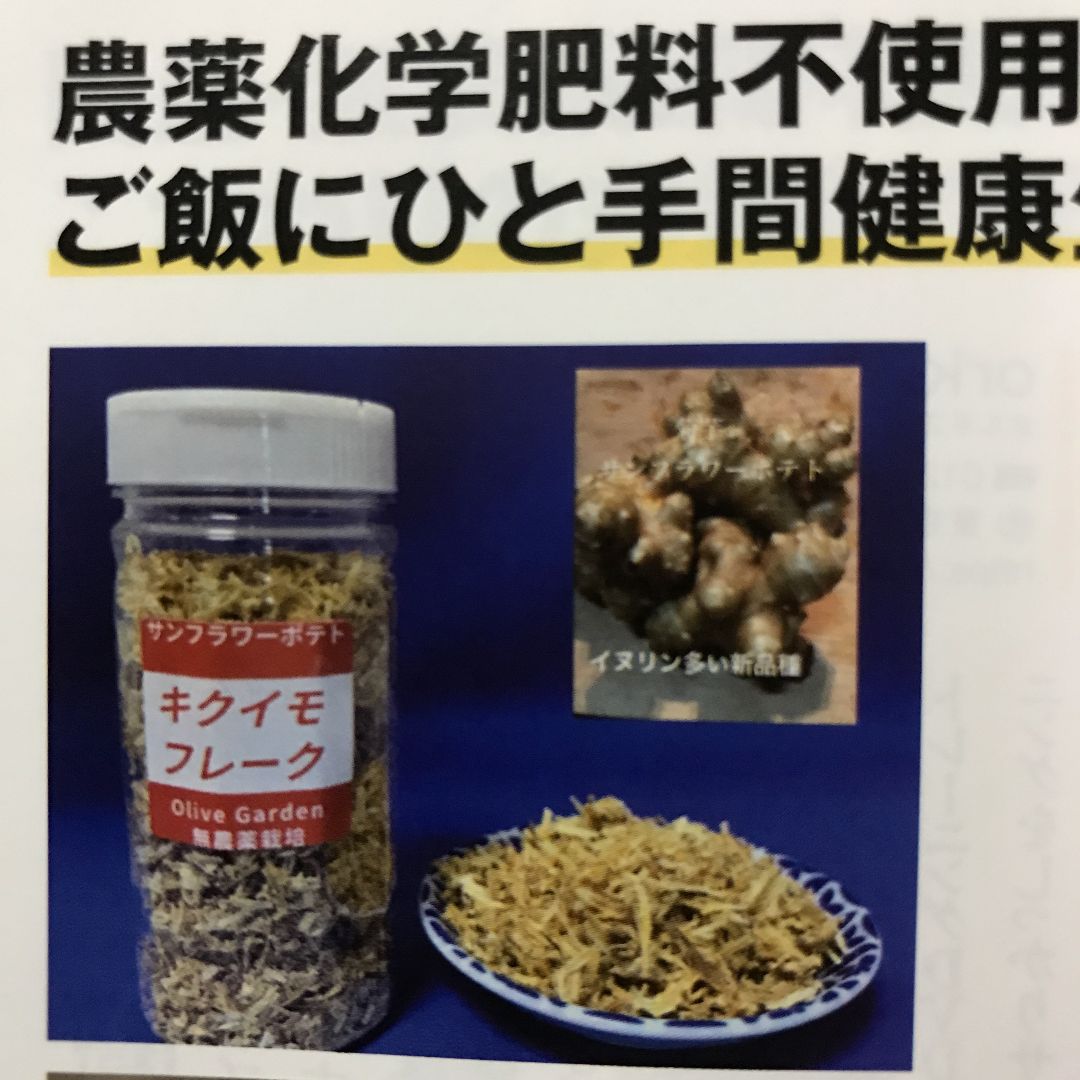 値下げ 菊芋パウダー サンフラワーポテト 100g 3袋 イヌリン多い新品種