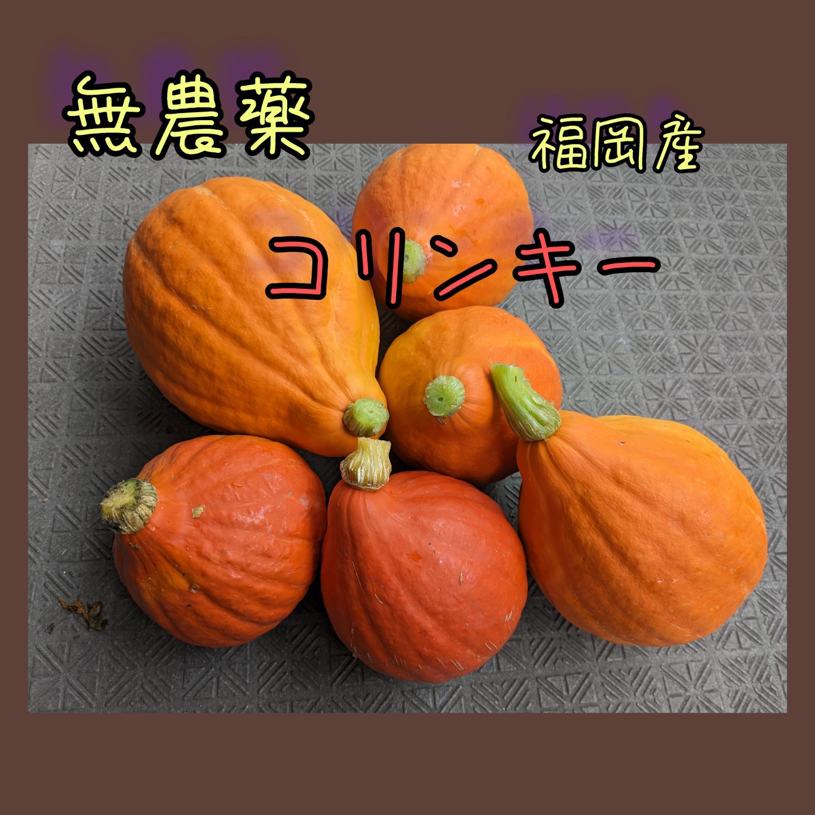 福岡産 無農薬 コリンキー 生で食べれるカボチャ - 九州🐿福福野菜