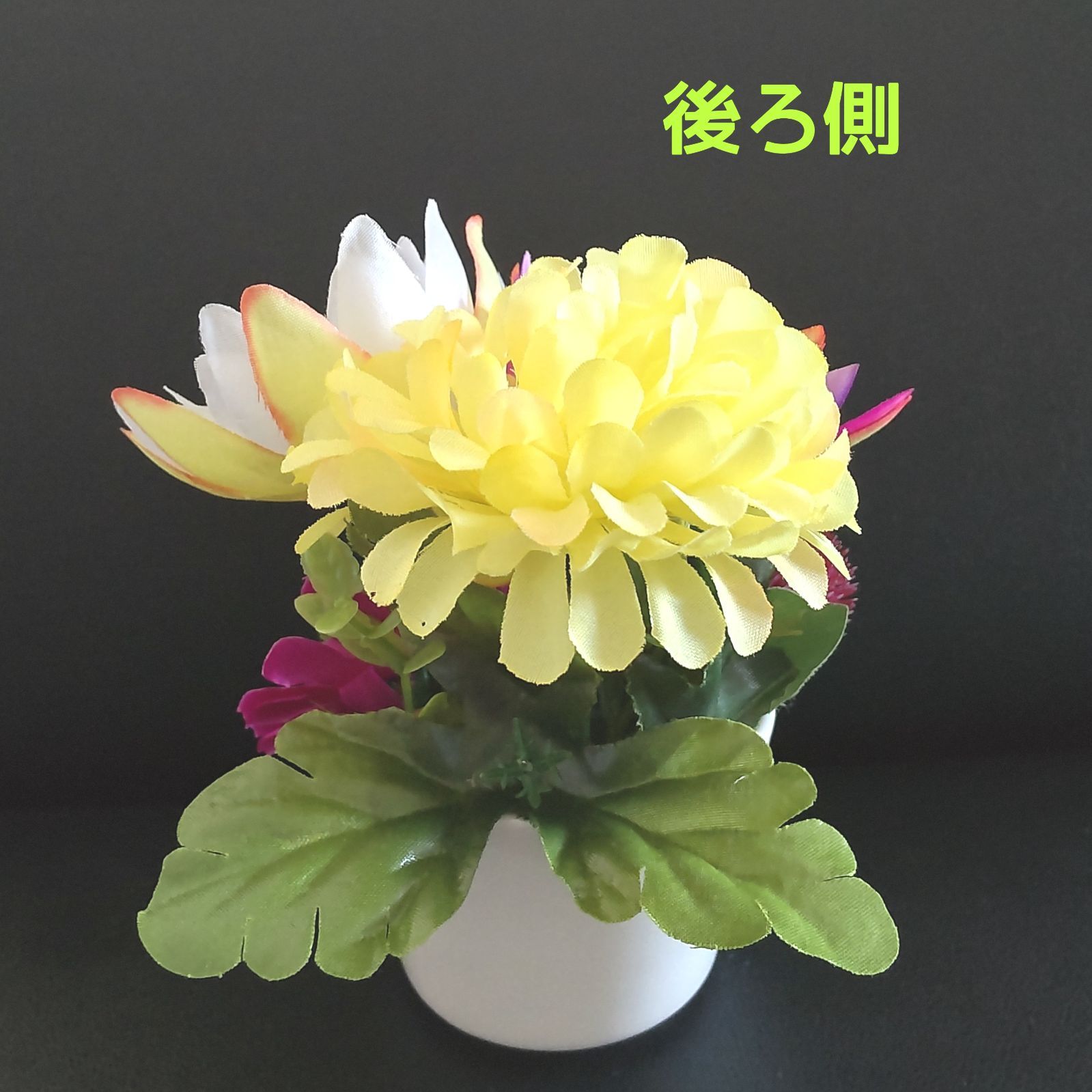 リピート販売です♬人気の ❰ 蓮と菊 ❱ ♡ ボリューミーな2個セット