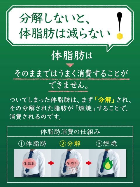 48本 24本×2ケース