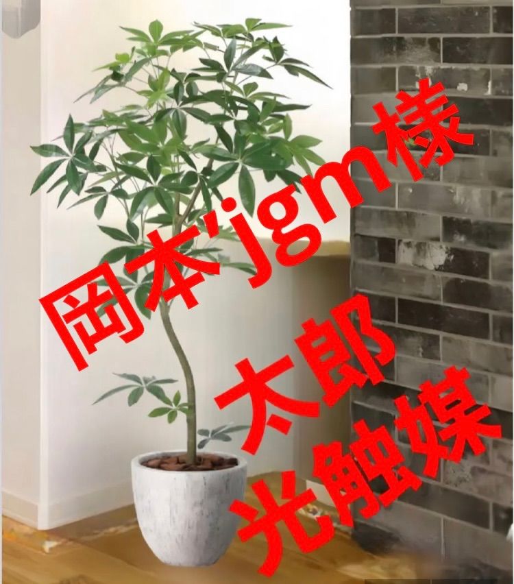 光触媒 人工観葉植物 ウォールグリーン フェイクグリーン 光触媒 人工観葉植物 ウォールグリーン フェイクグリーン