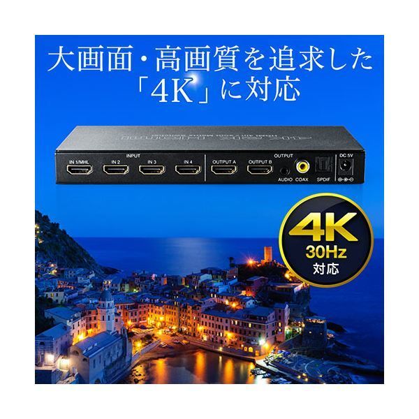 400-SW0271個