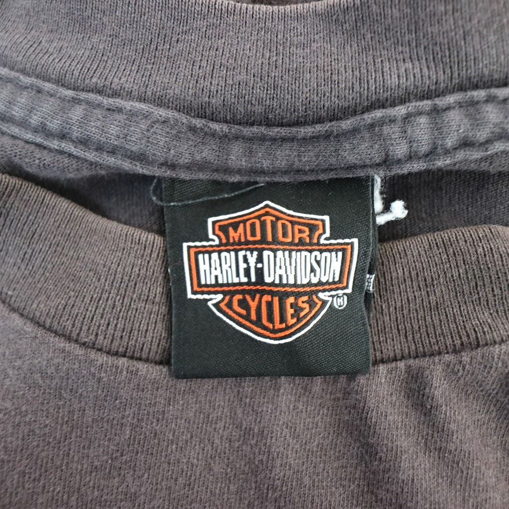 SALE/ HARLEY DAVIDSON ハーレーダビッドソン ブランドネームグラフィックプリント 半袖Ｔシャツ Y2K オレンジ (メンズ XL)   O0571