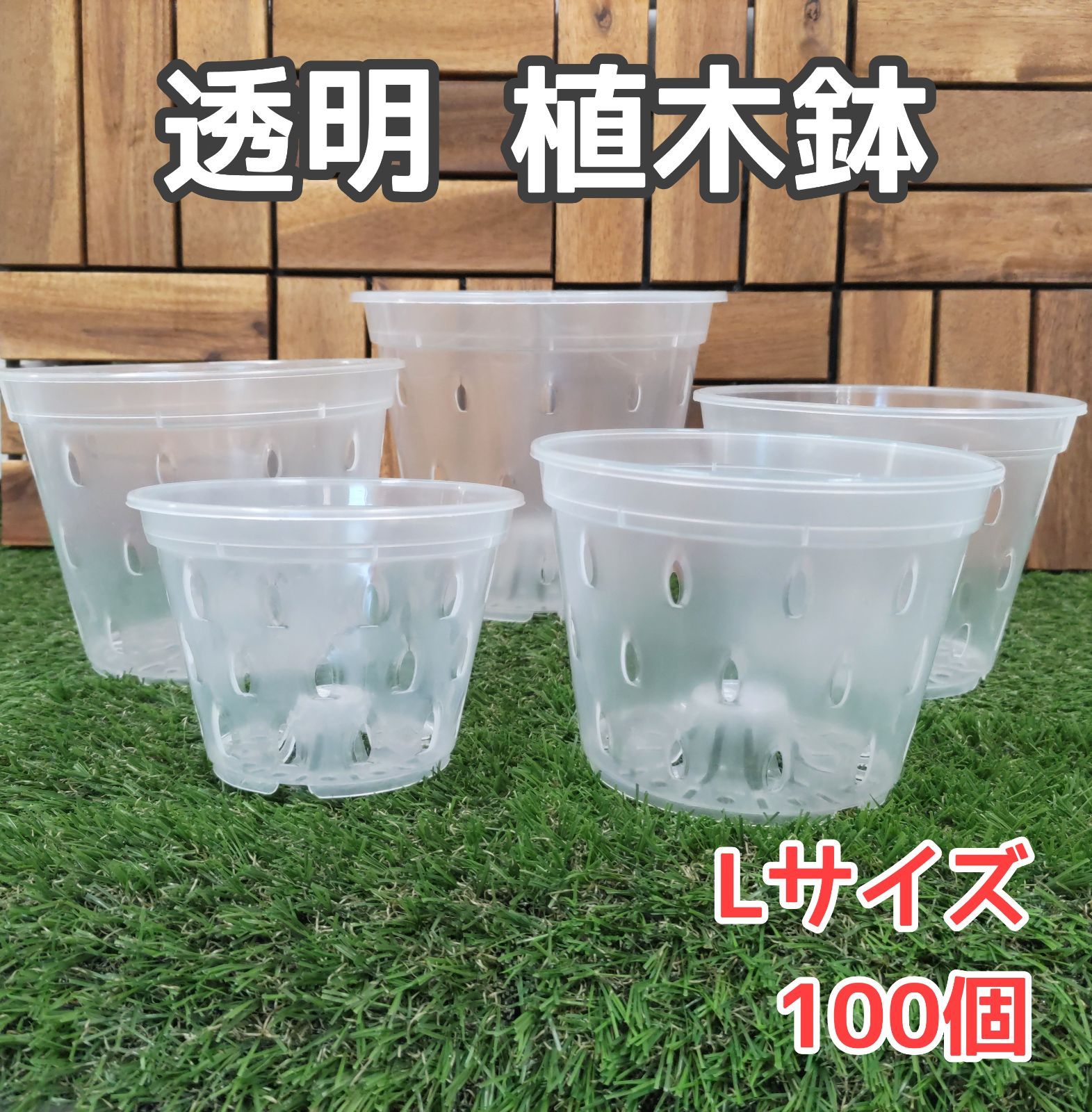 そのこ様 プラナロム ユーカリラディアタ他 合計8点 精油 そのこ様