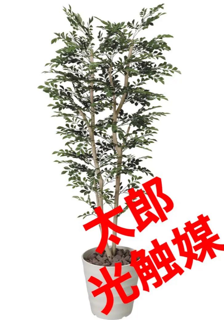 光触媒 人工観葉植物 ウォールグリーン フェイクグリーン トネリコ1.8 