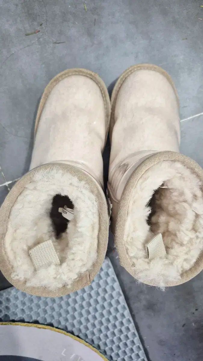 29- クリームチェスナット