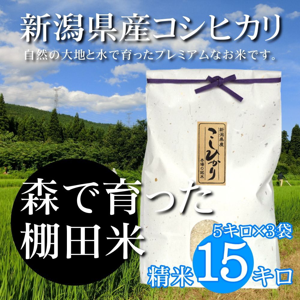 新潟米コシヒカリ 白米 15kg（5kg×3袋）雲龍和紙 新潟産こしひかり